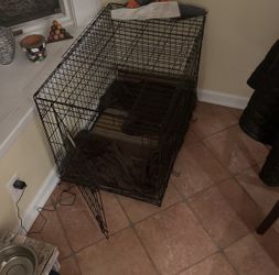 Dog Crate