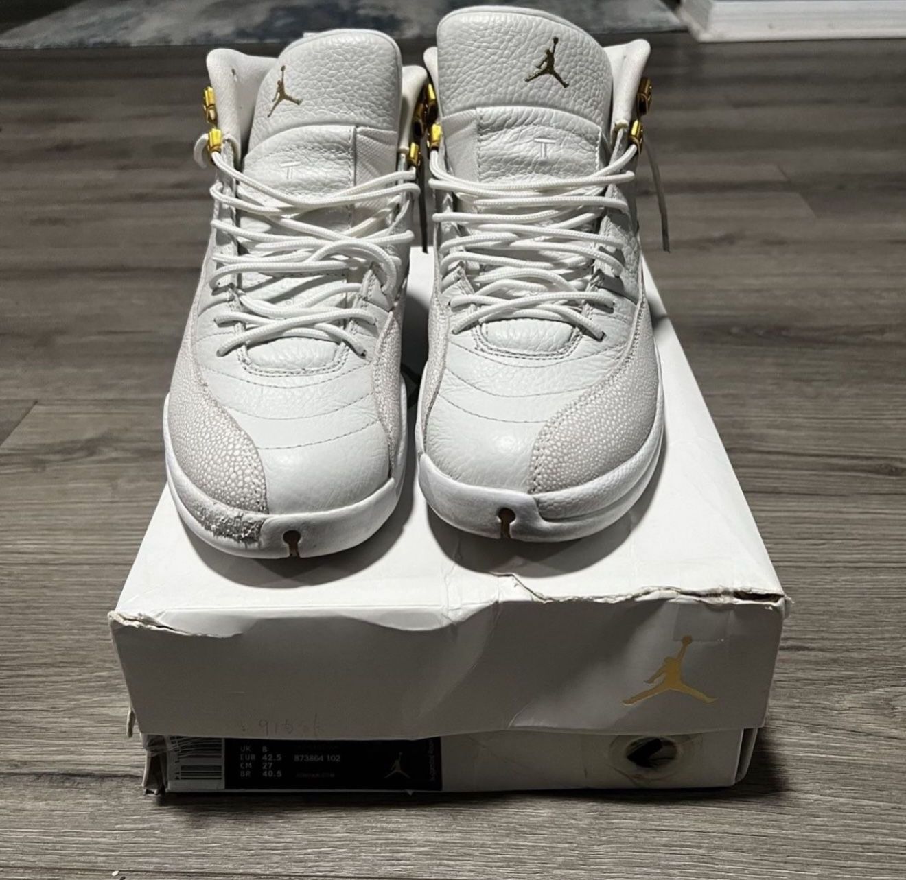 Jordan 12 OVO