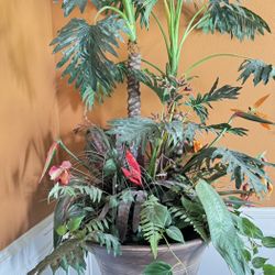 Custom Decorative Pot With Plants