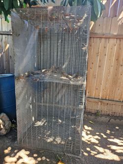 Bird Cage