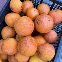 Oranges Fruits 