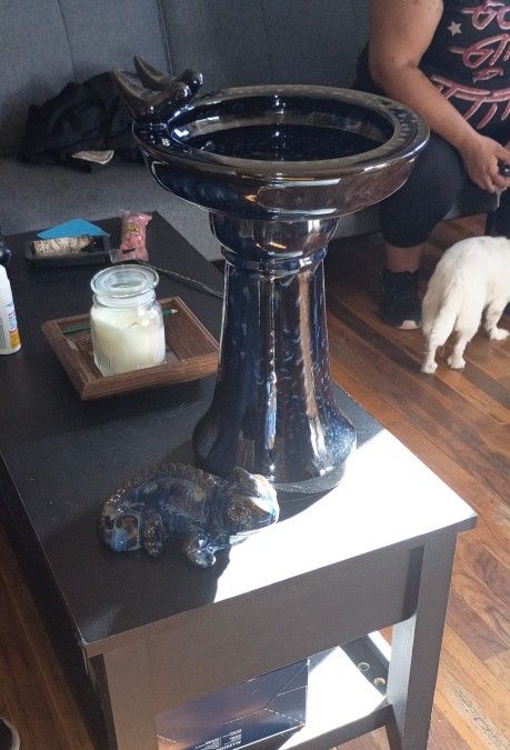 Chameleon With Bird Bath 