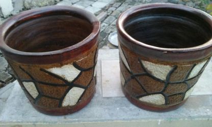 Maseteros grandes