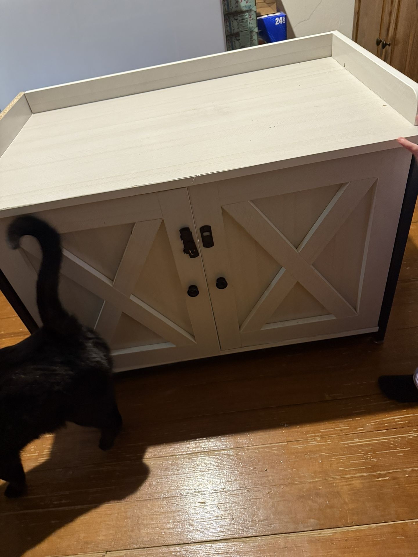 Cat Box