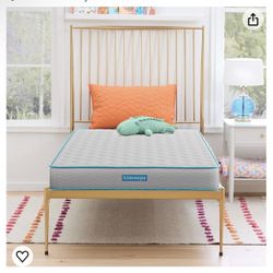 Twin Size Mattress 