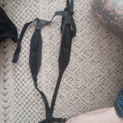 Basson Harness