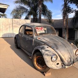 1967 VW Bug 