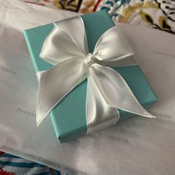 New Tiffany & Co. Blue Double Heart necklace