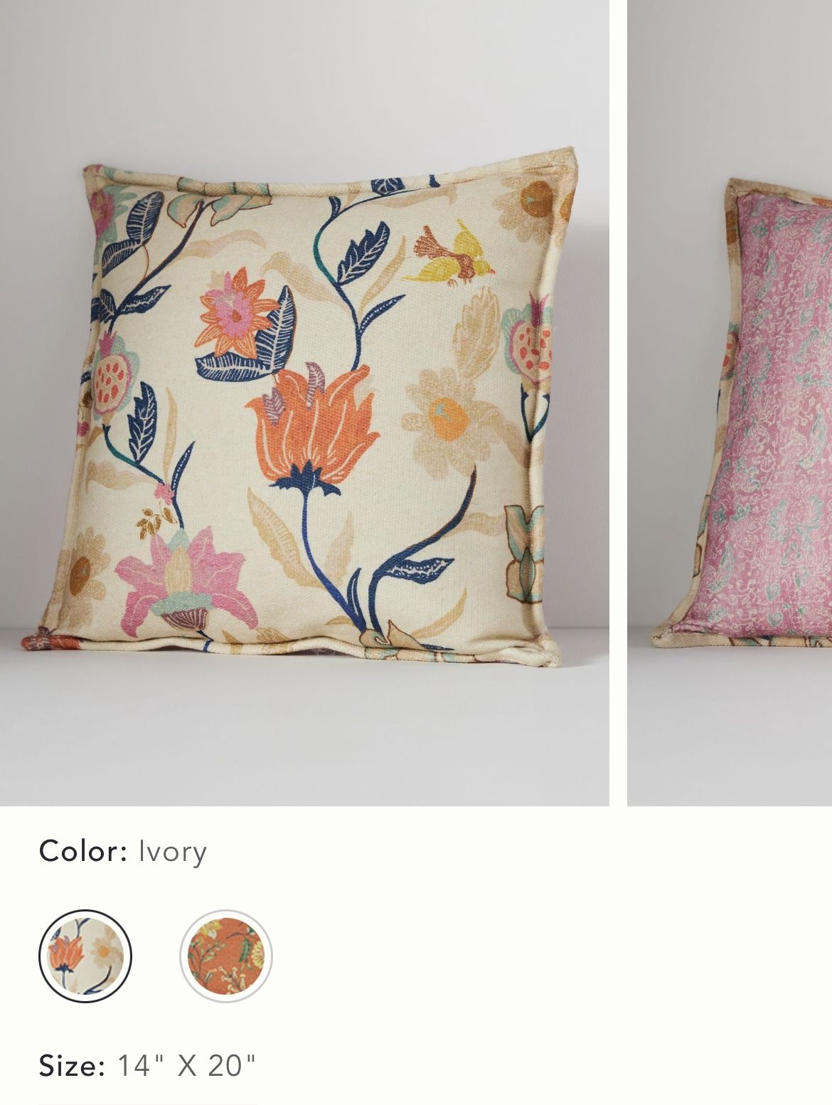 Anthropologie Pillows