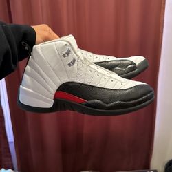 Jordan 12