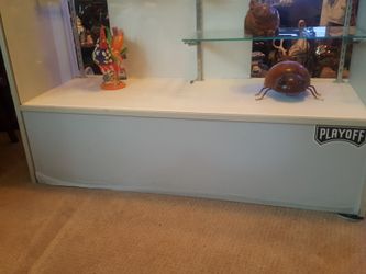 DISPLAY CASE (cabinet) ""A BIG STEAL"""