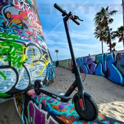 Foldable Electric Scooter