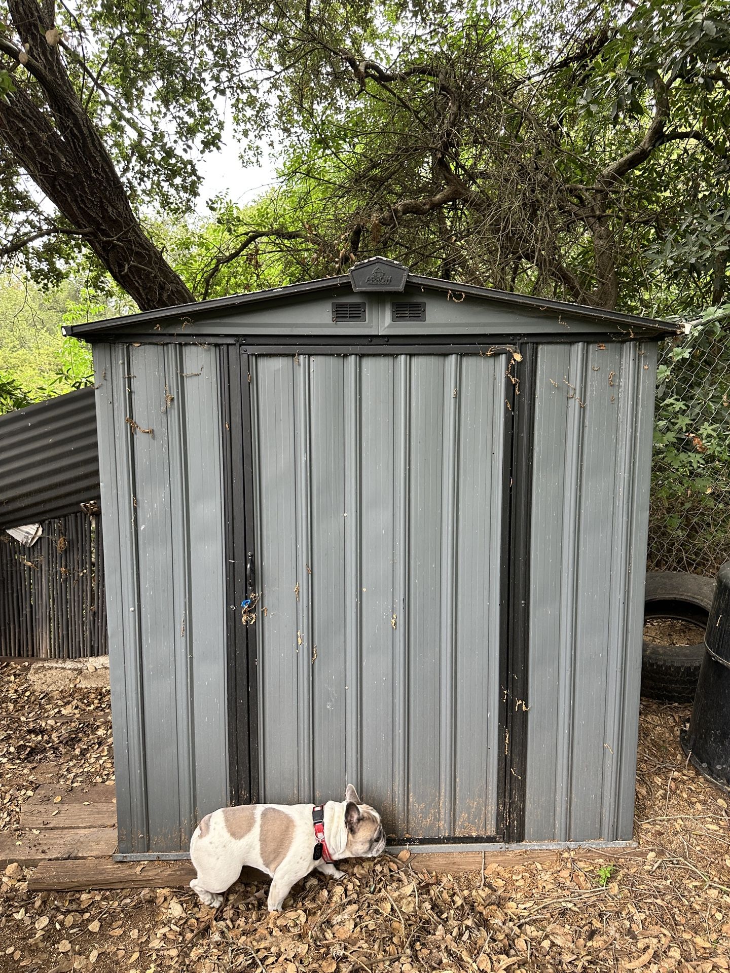 Metal Shed