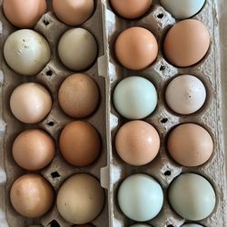 Organic Farm Eggs $4 Dozen