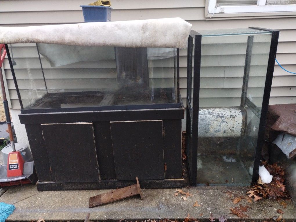 Fish Tank