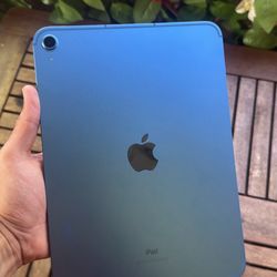 iPad WiFi Plus Cellular 