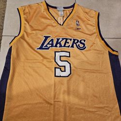 Lakers Robert Horry Jersey XL
