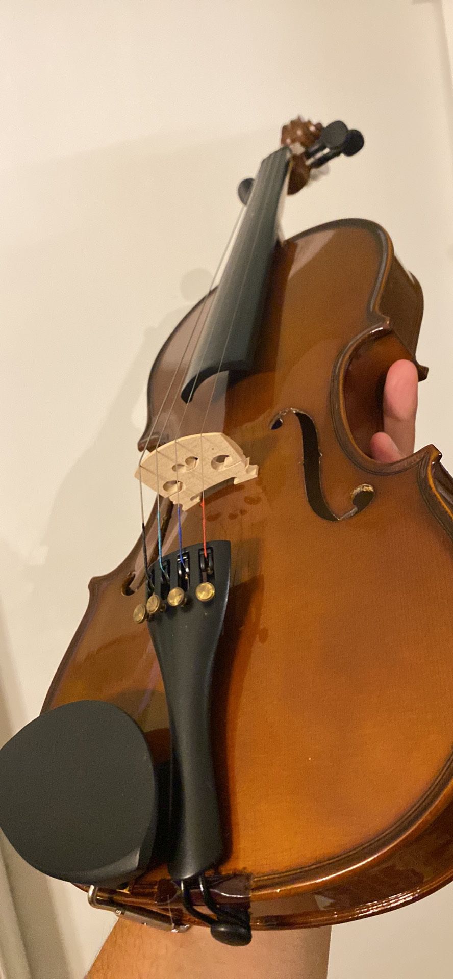 VN-350 Palatino Violin