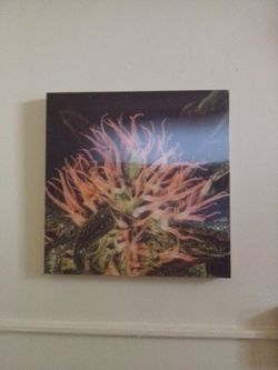 3D posters