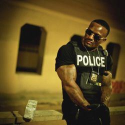 Italian  gold “Wealthy Elephant” Branded  eye glasses 