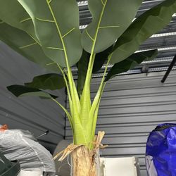 Realistic Banana Tropical Tree - Excellent Condition 