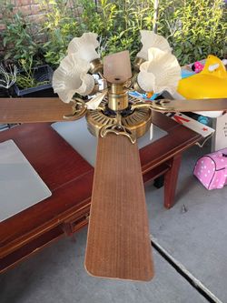 Ceiling fan for $25