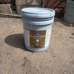 Atitude Gray ( Sherwin Williams Paint )