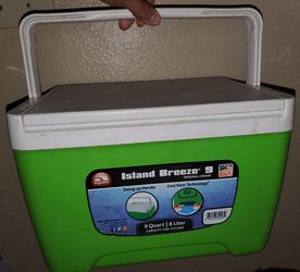 Personal Cooler and Beverage Cooler