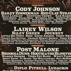 Stagecoach GA Wristbands 