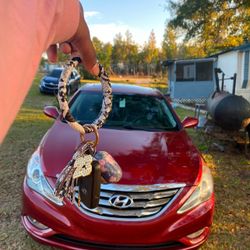 2011 Hyundai Sonata