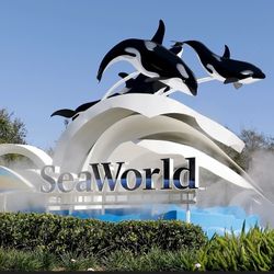 SeaWorld TAickets 