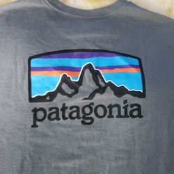 Patagonia Shirt Size L