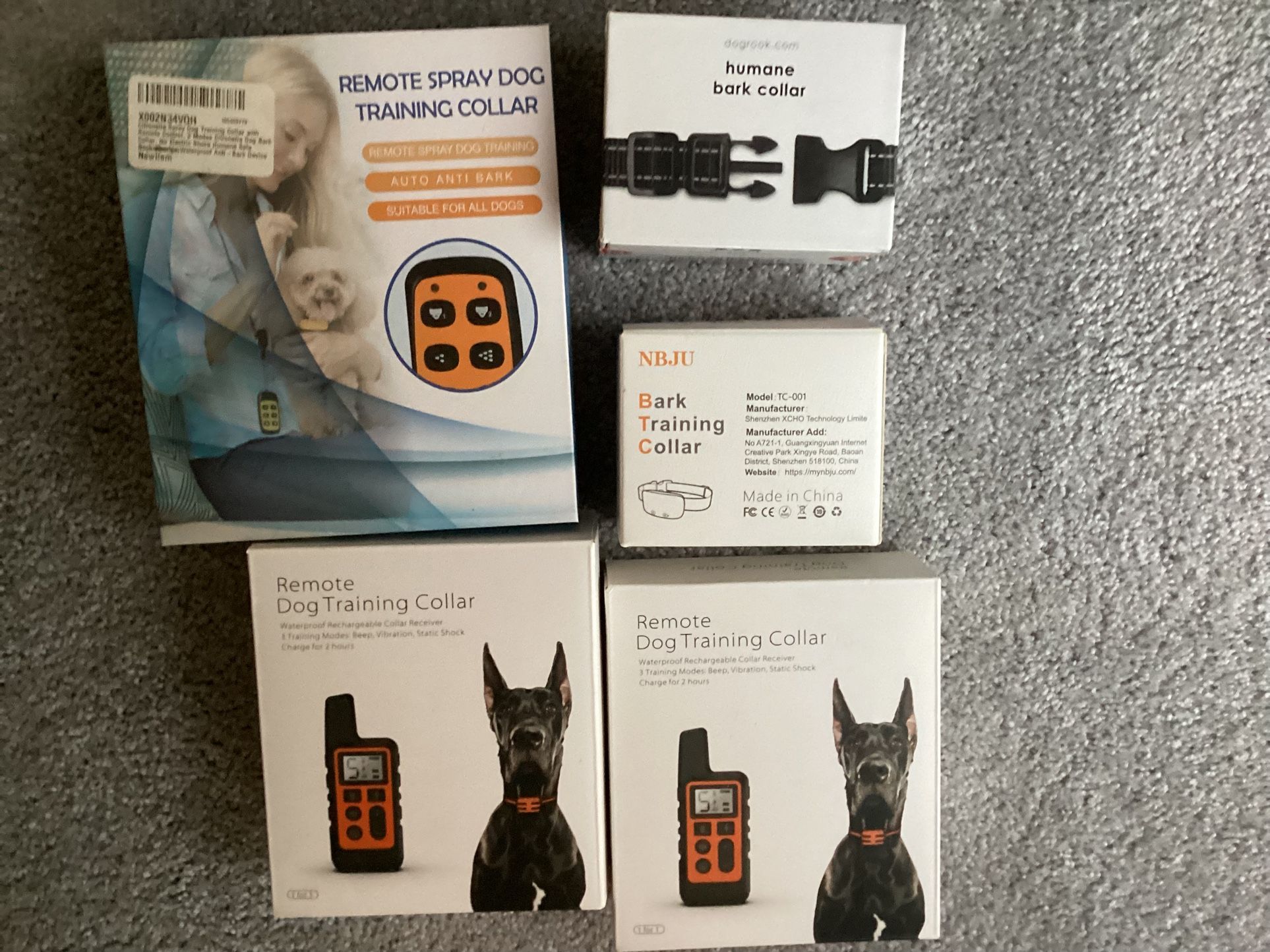 K9 Training