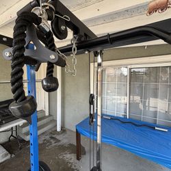 Complete Gym Weight Set 