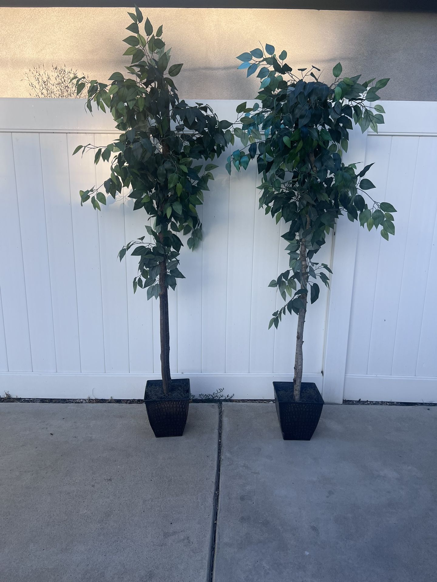 Artificial Ficus Tree $40 OBO for Sale in Riverside, CA - OfferUp