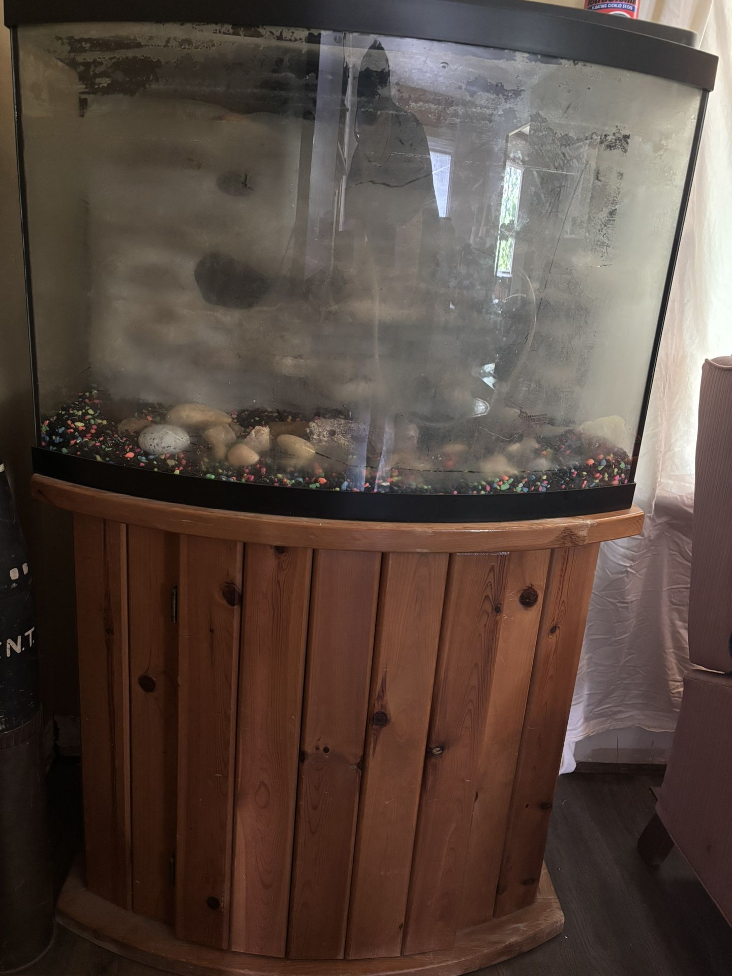 Fish Tank