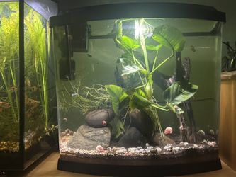 Aquarium Black 5 Gallon LED MiniBow Plastic Fish Tank