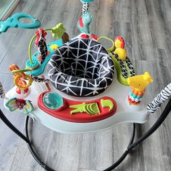 Fisher-Price Baby Bouncer