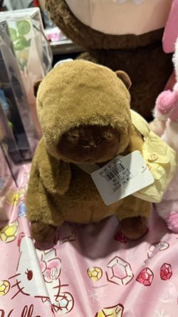 Small Capybara