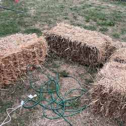 Bale Of Hay Available After Halloween 