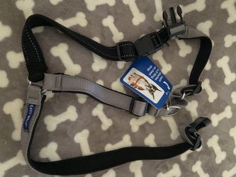 Pet Safe Easy Walk