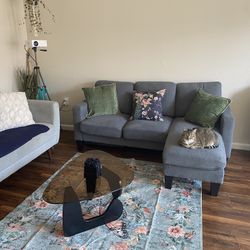 Mid Century Modern Grey Couches For Sale (2)