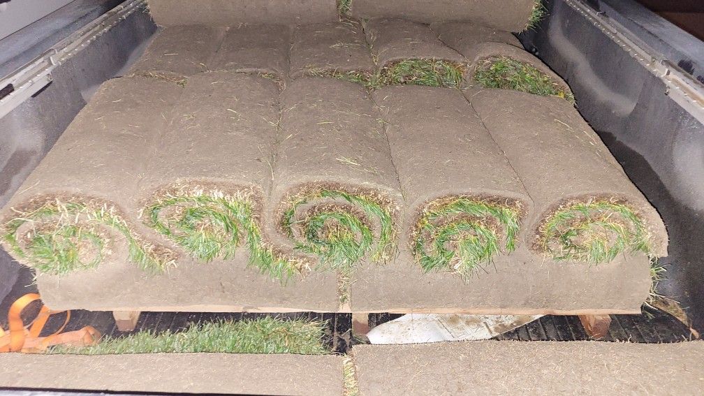 Sod Elite Plus Fescue - 8 sq ft Roll 25 Rolls