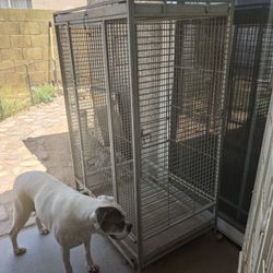 Large Bird Cage