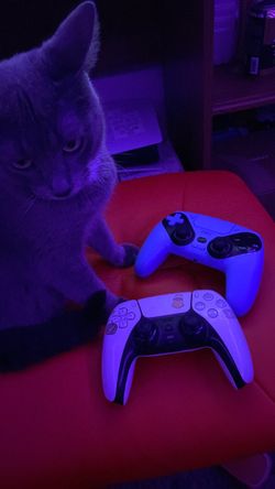 2 stick drift controllers