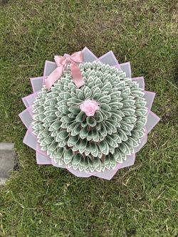 money bouquet 