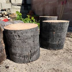 Freshly Cut Logs/Plant Stands