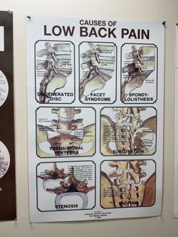 Clinical chart (low back pain)
