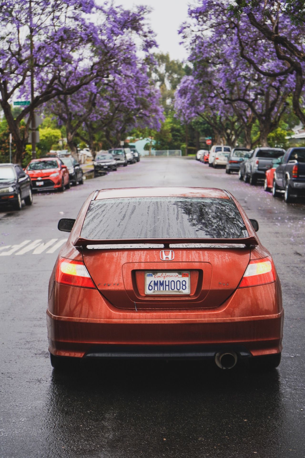 2008 Honda Civic Si 8th Gen Civic K24