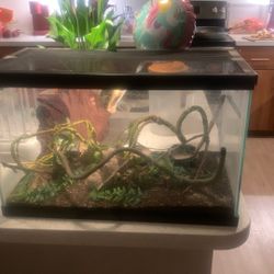 Terrarium
